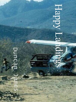 cover image of Happy Landings